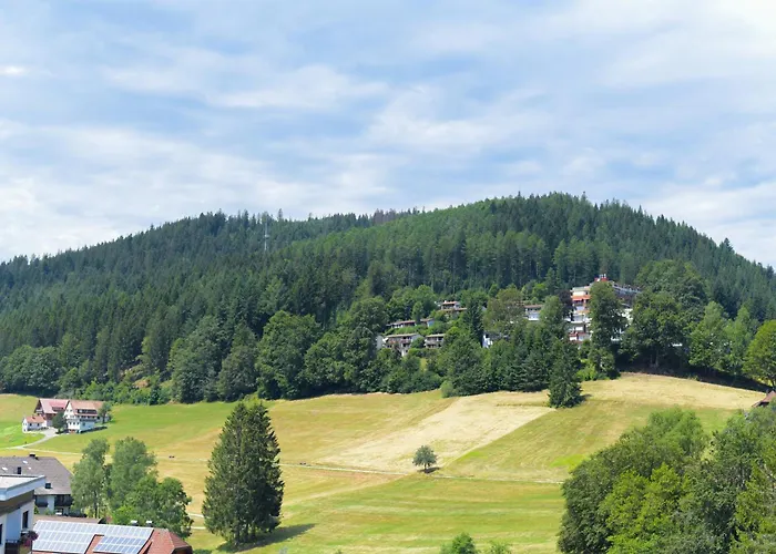 Schwarzwald-living Apartman Baiersbronn
